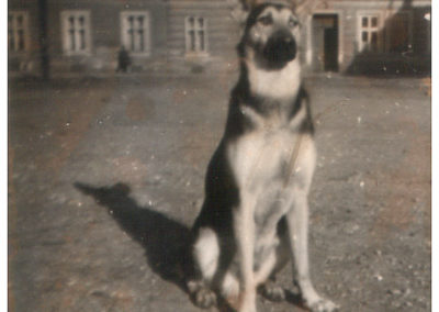 Widok na kamienicę nr 5 przy ul. Targowej oraz fragment kamienicy w której znajduje się Apteka pod Orłem. Koniec lat 1960. W tym miejscu obecnie znajduje się plomba wybudowana w latach osiemdziesiątych. Z archiwum Dariusza Gierasińskiego.