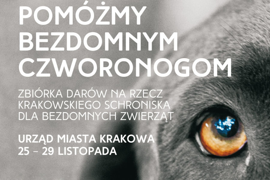 Pomóżmy bezdomnych czworonogom