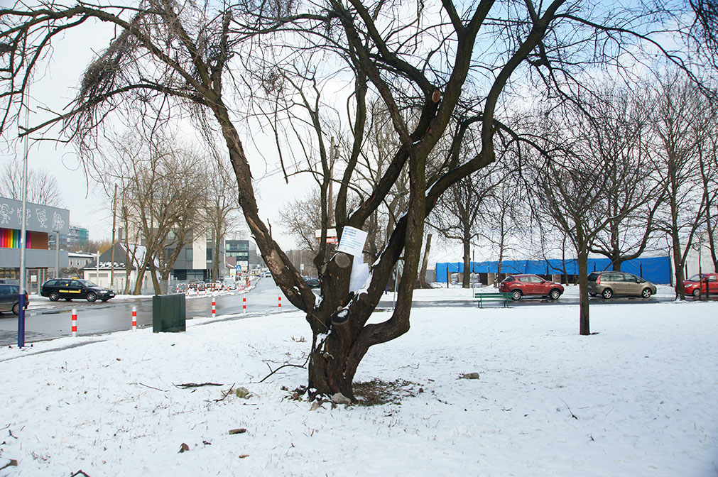 Na rogu Dekerta – zbiórka trwa