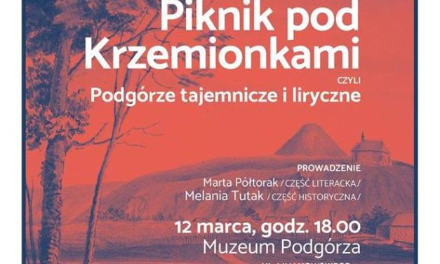 Piknik pod Krzemionkami