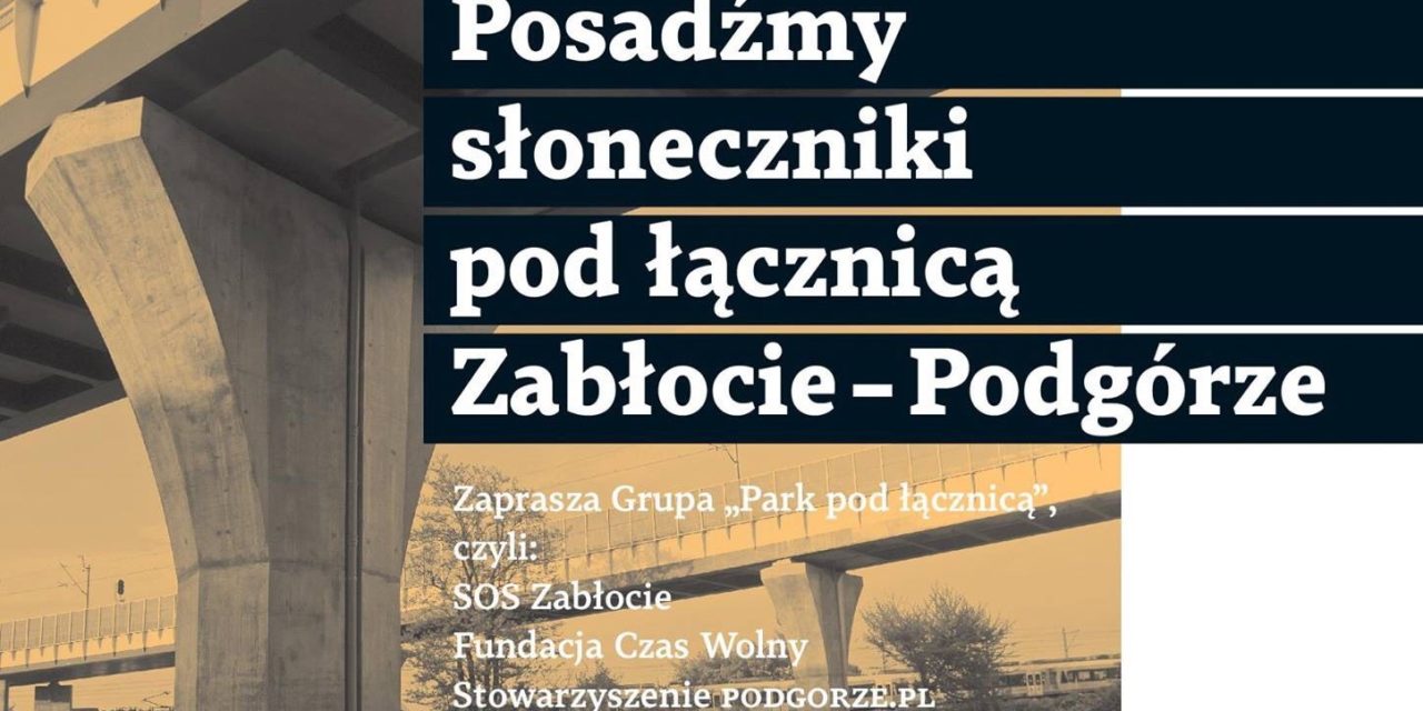 Partyzanckie Sadzenie Słoneczników