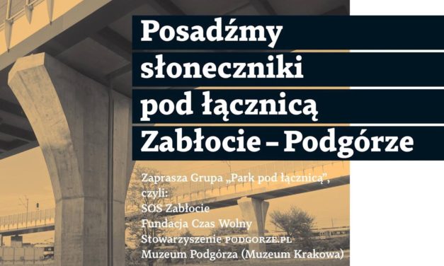 Partyzanckie Sadzenie Słoneczników