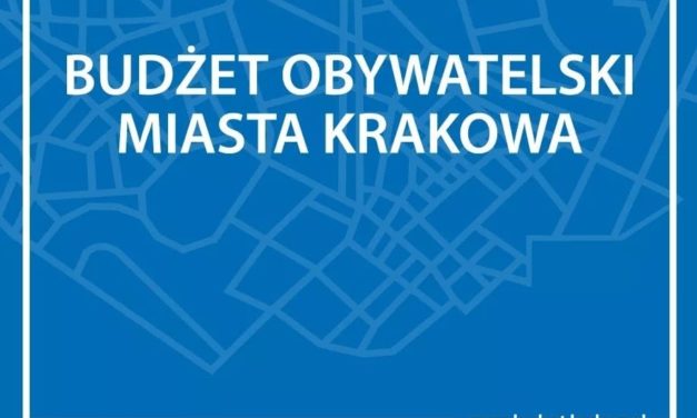 Budżet Obywatelski 2019 – spotkania informacyjne