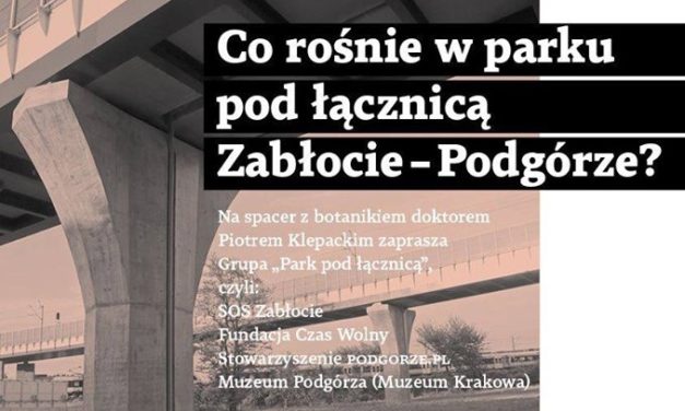 Co rośnie w parku pod łącznicą Zabłocie-Podgórze?