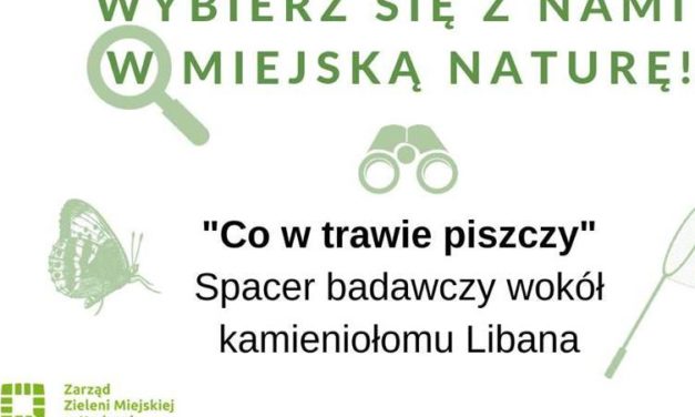 1. Spacer badawczy wokół kamieniołomu Libana