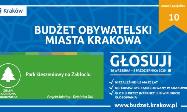 Trwa głosowanie w budżecie obywatelskim 2020