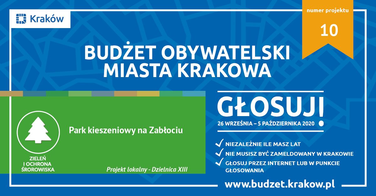 Trwa głosowanie w budżecie obywatelskim 2020