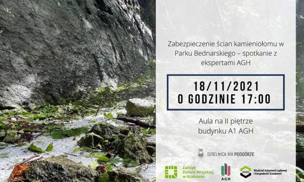 Zabezpieczenie ścian kamieniołomu w Parku Bednarskiego – spotkanie z ekspertami AGH