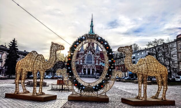 Świąteczne wielbłądy na Rynku Podgórskim