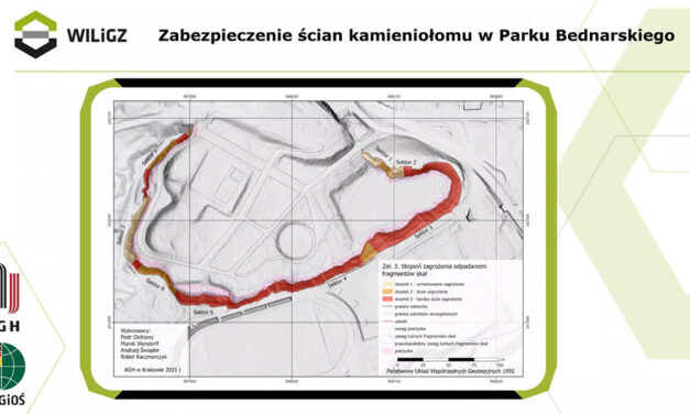 Naturalna bariera, obrywka, siatka – co dalej z zabezpieczeniem ścian Parku Bednarskiego?