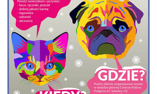 Zimowa zbiórka dla zwierzaków