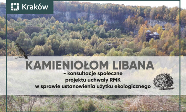 Znamy wyniki konsultacji w ustanowienia użytku ekologicznego „Kamieniołom Libana”