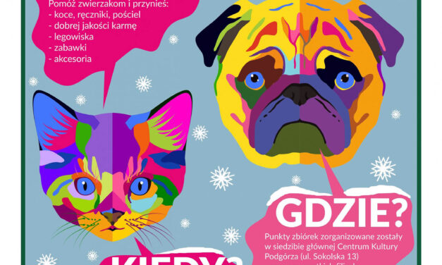 Zimowa zbiórka dla zwierzaków