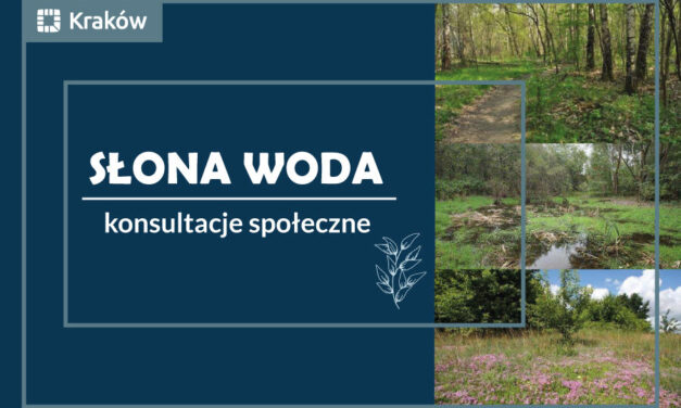 Użytek ekologiczny „Słona woda” – stanowisko Stowarzyszenia PODGORZE.PL