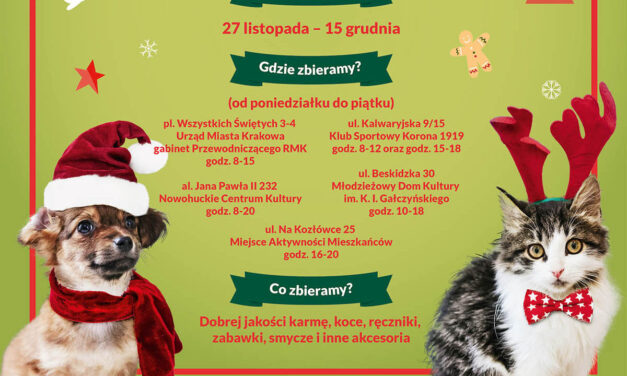 „MikoMIAUki, MikoHAUki” – czyli Mikołaj dla przyjaciół ze schroniska