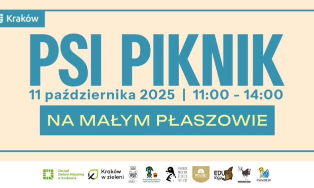 Psi Piknik na Małym Płaszowie